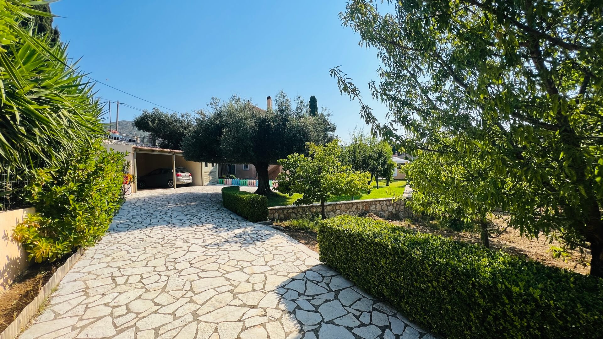 garden 5.jpg